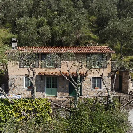 La Capannella By Interhome Holiday home Camaiore