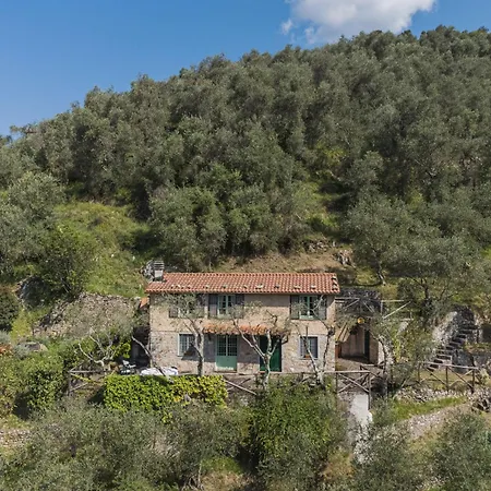 Holiday home La Capannella By Interhome Camaiore