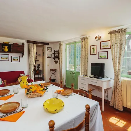 La Capannella By Interhome Holiday home Camaiore