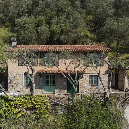 La Capannella By Interhome Dom wakacyjny Camaiore